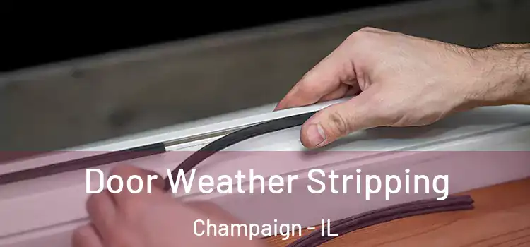 Door Weather Stripping Champaign - IL