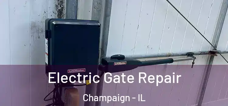  Electric Gate Repair Champaign - IL