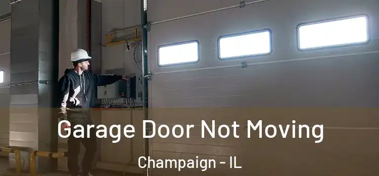  Garage Door Not Moving Champaign - IL
