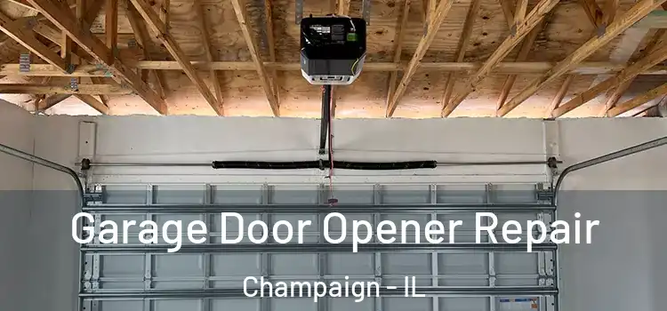  Garage Door Opener Repair Champaign - IL