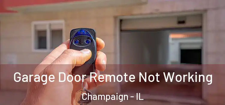  Garage Door Remote Not Working Champaign - IL