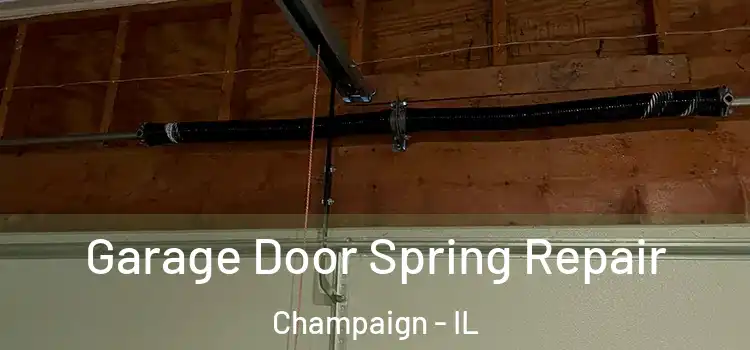  Garage Door Spring Repair Champaign - IL