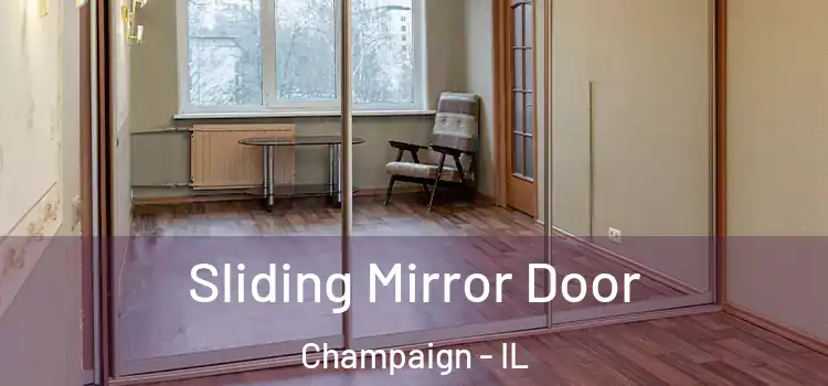  Sliding Mirror Door Champaign - IL