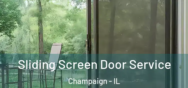 Sliding Screen Door Service Champaign - IL